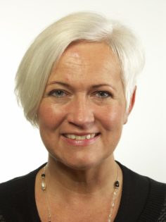 Acko Ankarberg, Kristdemokraterna
