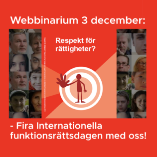 Webbinarium: Fira internationella funktionsrättsdagen den 3 december med oss