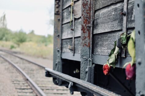 Bild på en tågvagn med några röda blommor. Bilden symboliserar förintelsen,.