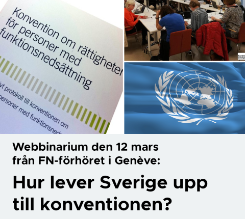 Webbinarium den 12 mars, Hur lever Sverige upp till konventionen?